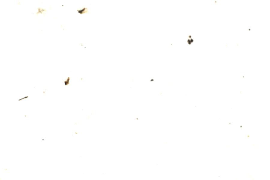 Image 191